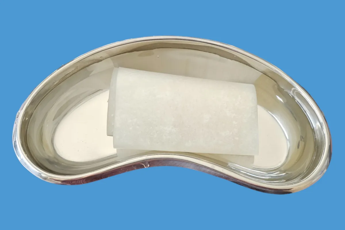 Xenoderm Dermal Matrix — Böbrek küvette rehidre edilen Xenoderm örtüsü